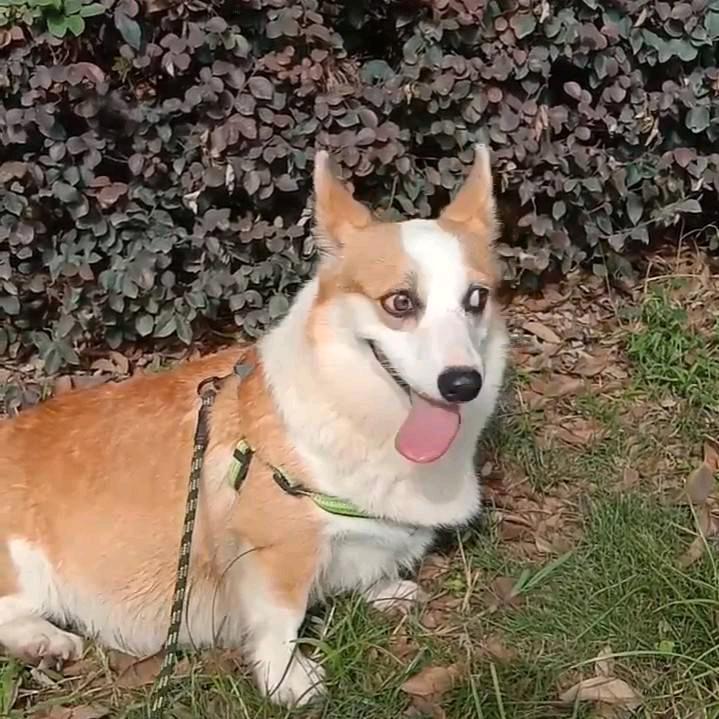 用户406258烟不离手