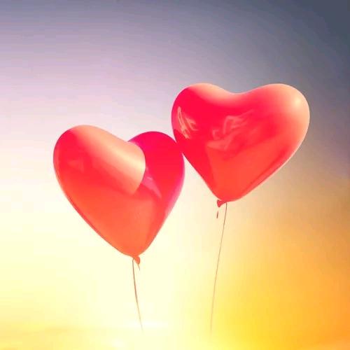 🍓有爱才有家🍓