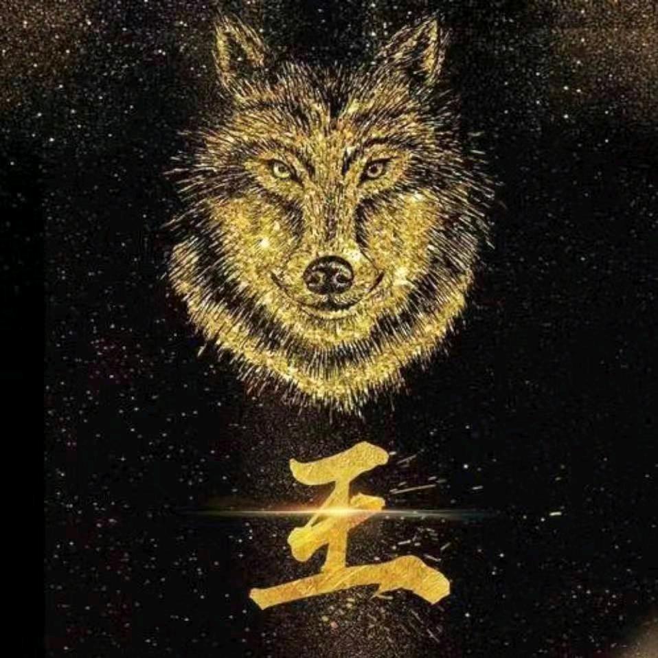 狼行天下