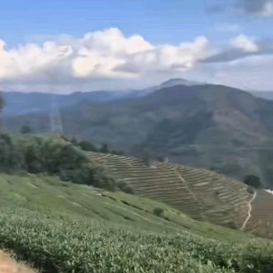 如梦橱窗