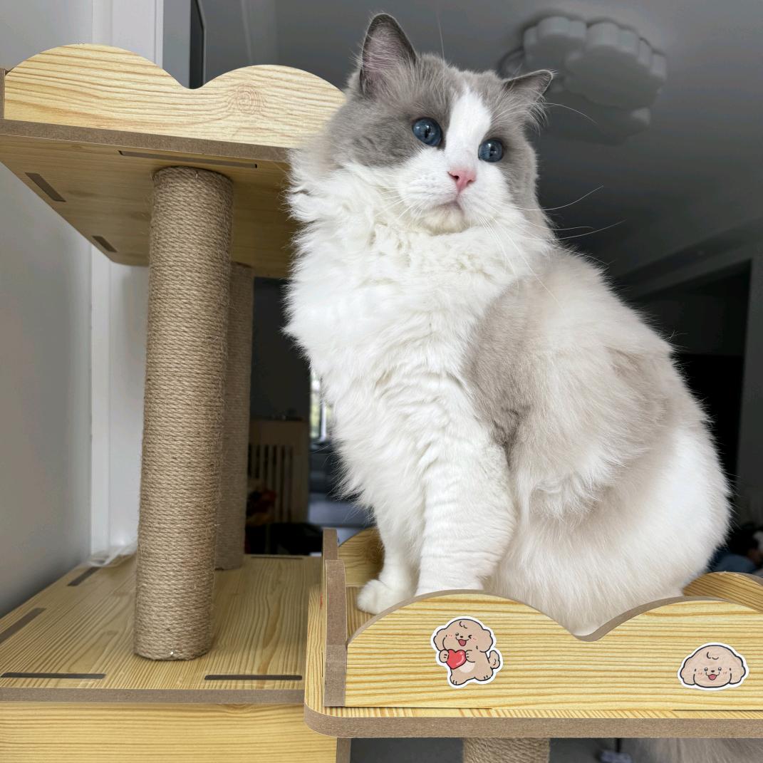 薯条🍟薯条🍟🍟🍟🍟🍟🍟