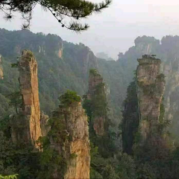 《明哥》靠自己