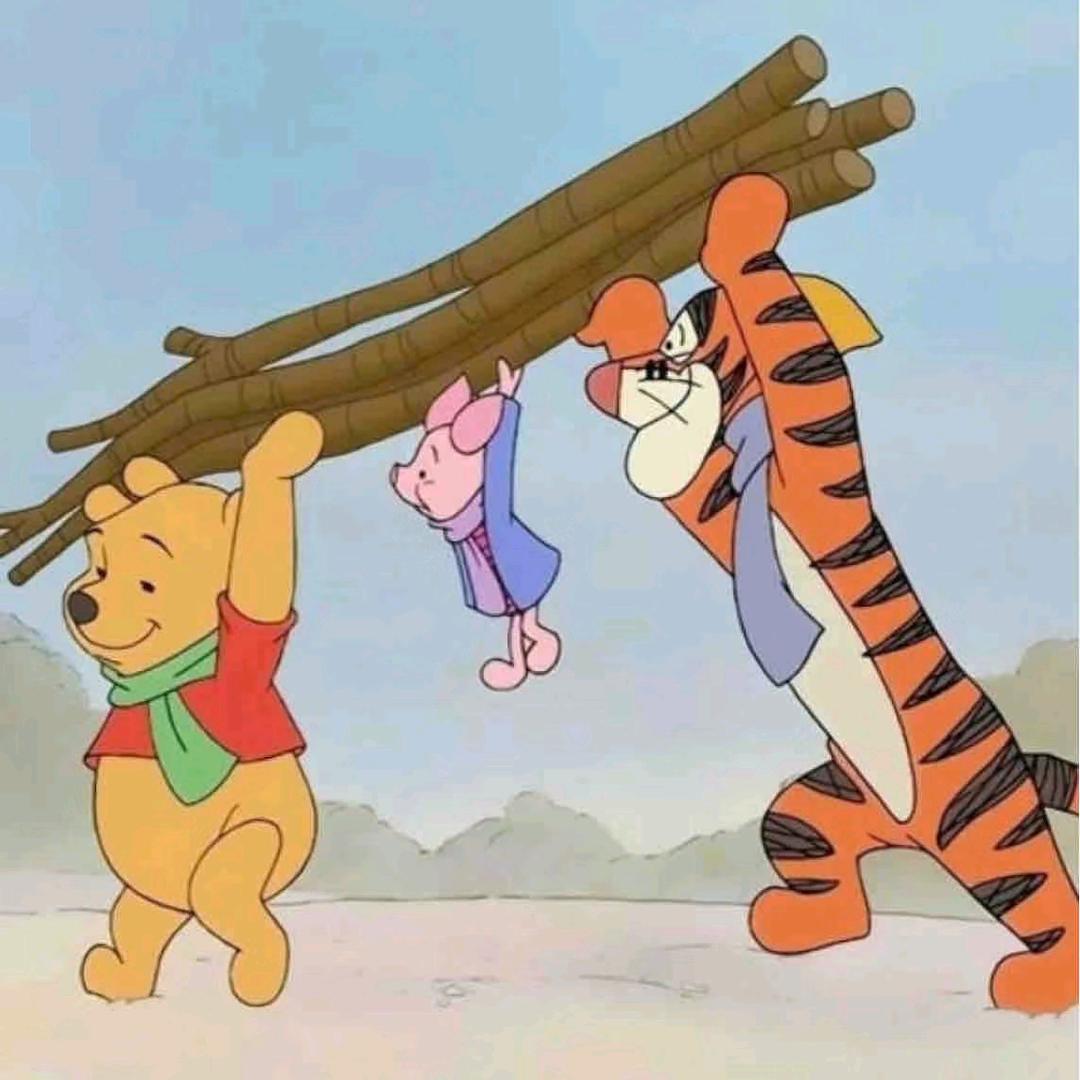 沐苡要开心呀📷