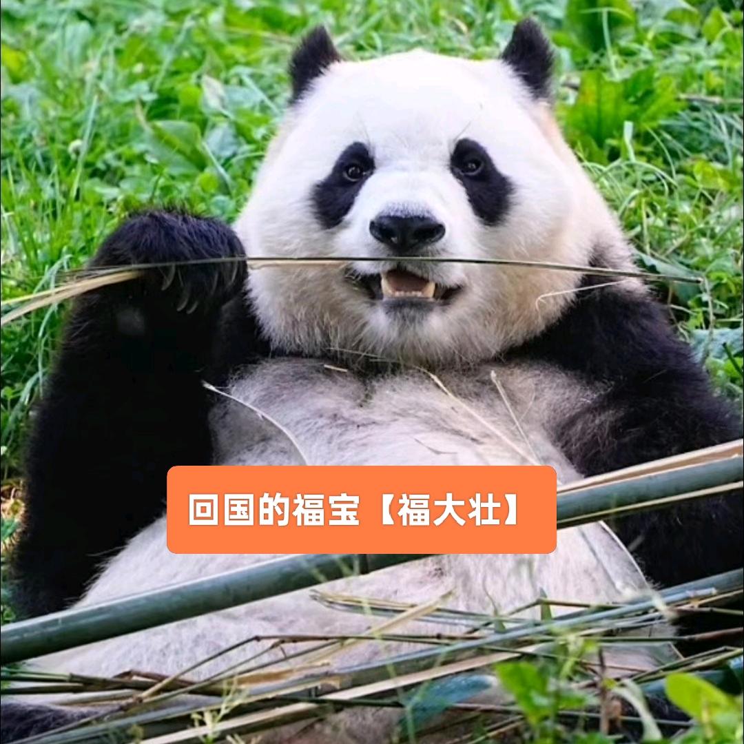 种花家的（橱窗有货）