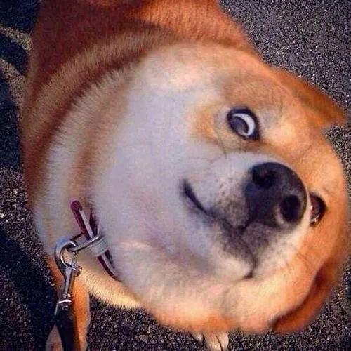 谷余（语言培训）