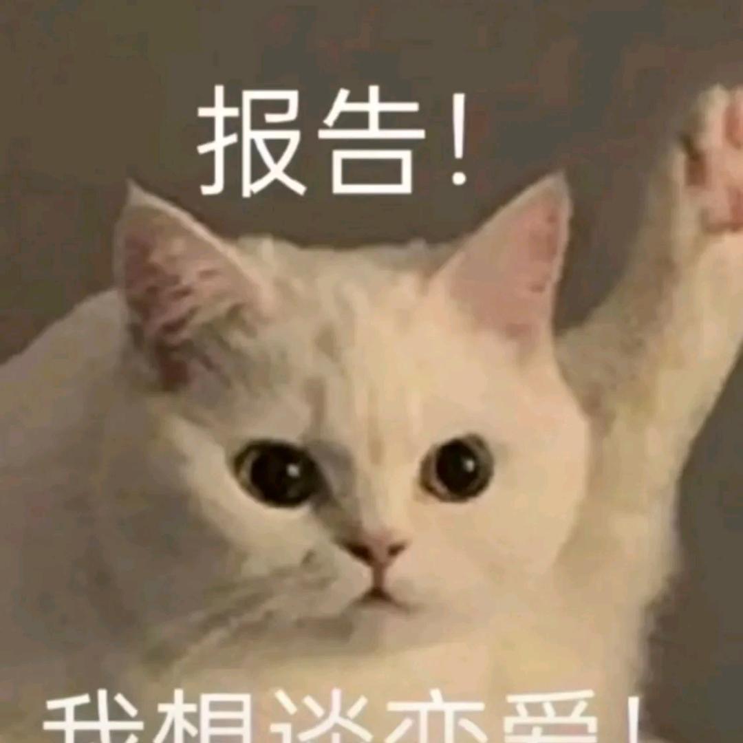 _____願世界溫柔待您ゐ