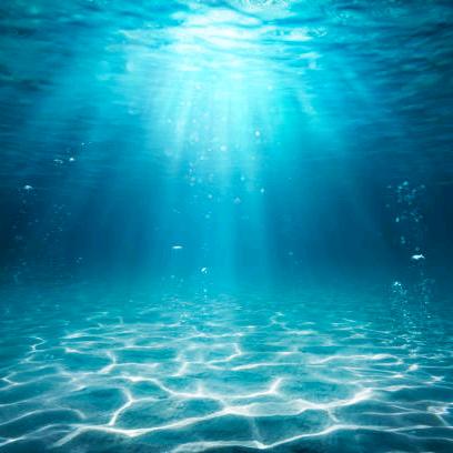 芸嘉妈妈悦芝堂产后