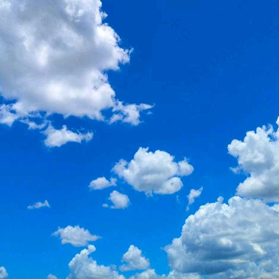 虫子🐛🌈💙🌻