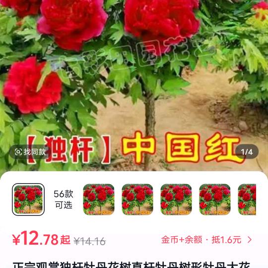 爱一生的所爱