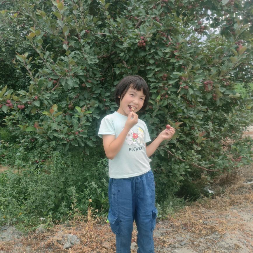 啊依古丽