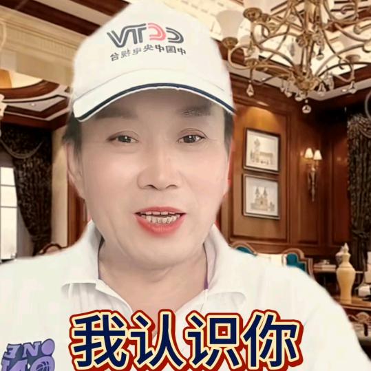 南阳诸郭先生(1)