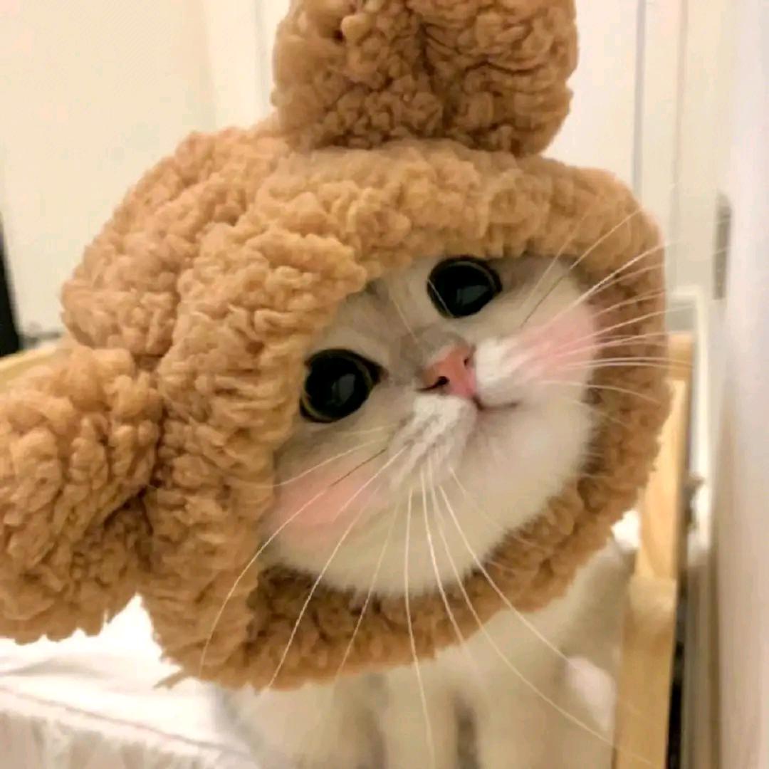 ℳ₯㎕風᭱ꦿএ⁵²⁰