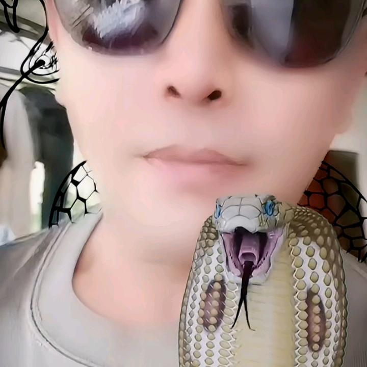 无缘无分不相识