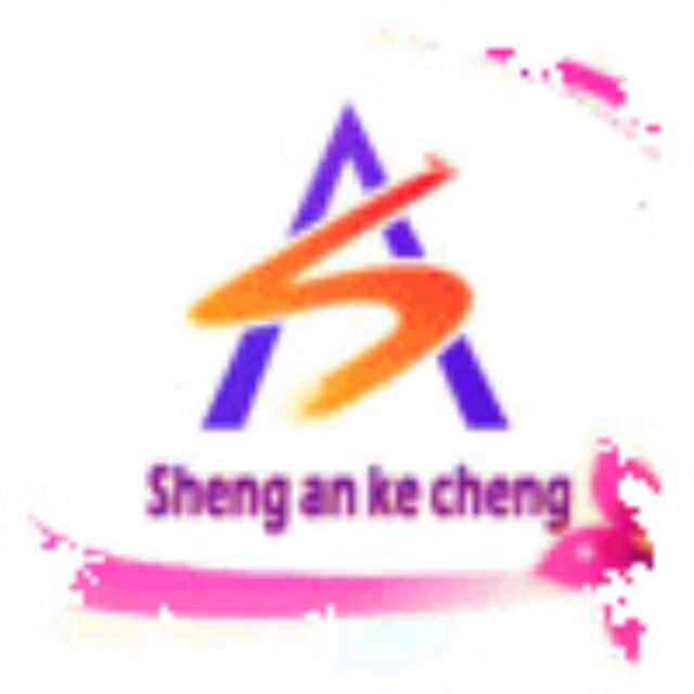 盛安科成小孙