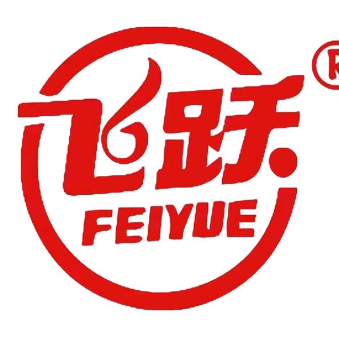 大孚飞跃dafufeiyue运动鞋旗舰店