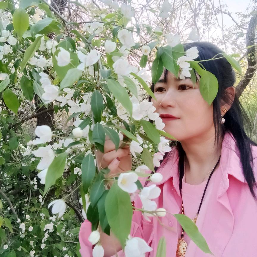 丽丽妙法缘🦊🐲🐉🦊🐁