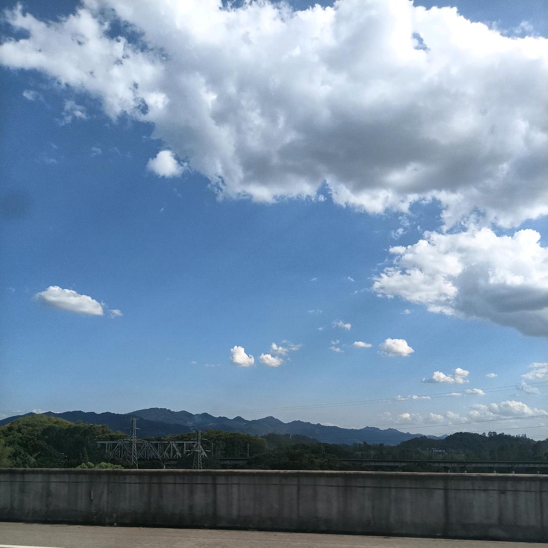 皮特森先生