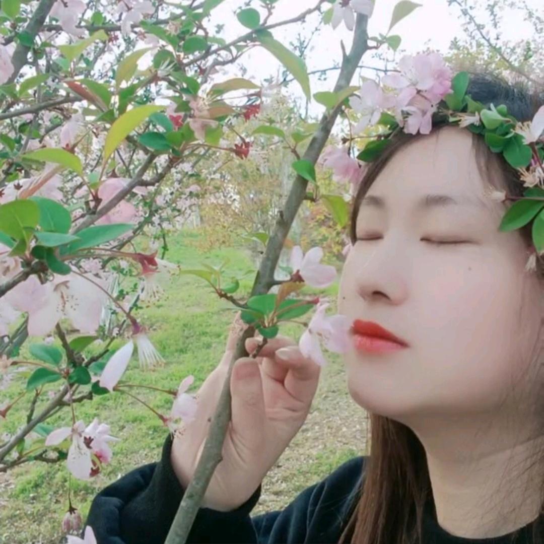 莹莹笑语