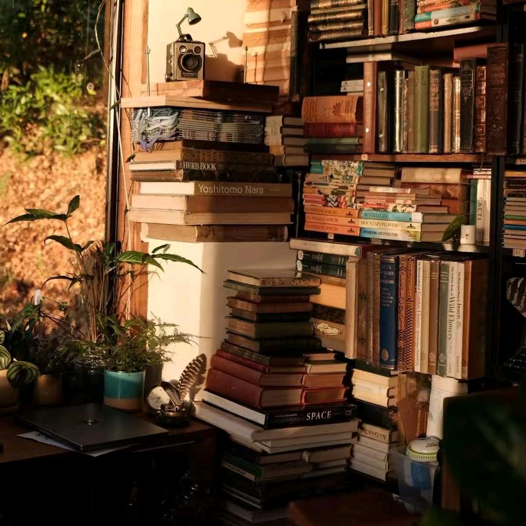 一间书屋（书在橱窗）