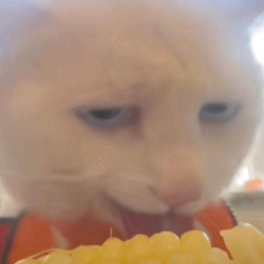 /_/!