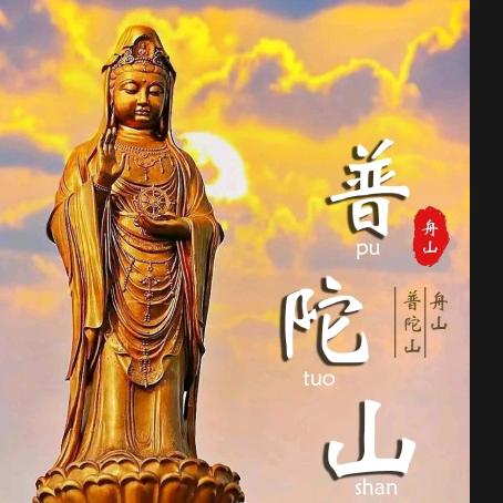 美拍舟山