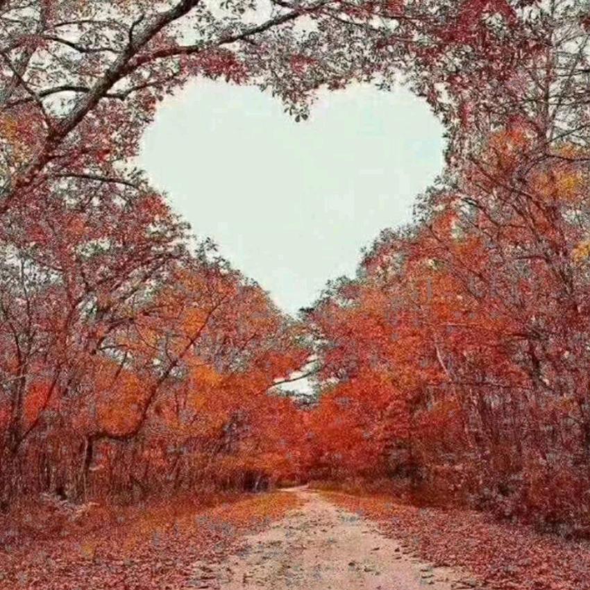 ꧔ꦿ浅笑℘安然ᝰ᭄ᩚ꯭ᩚ