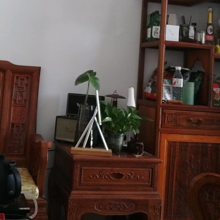 花间语