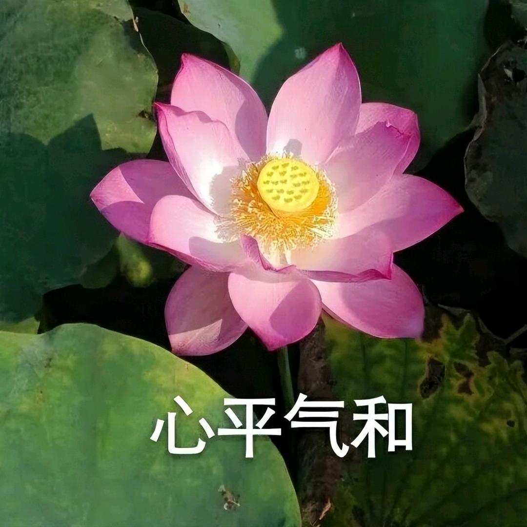 广州展衍贸易有限公司。
