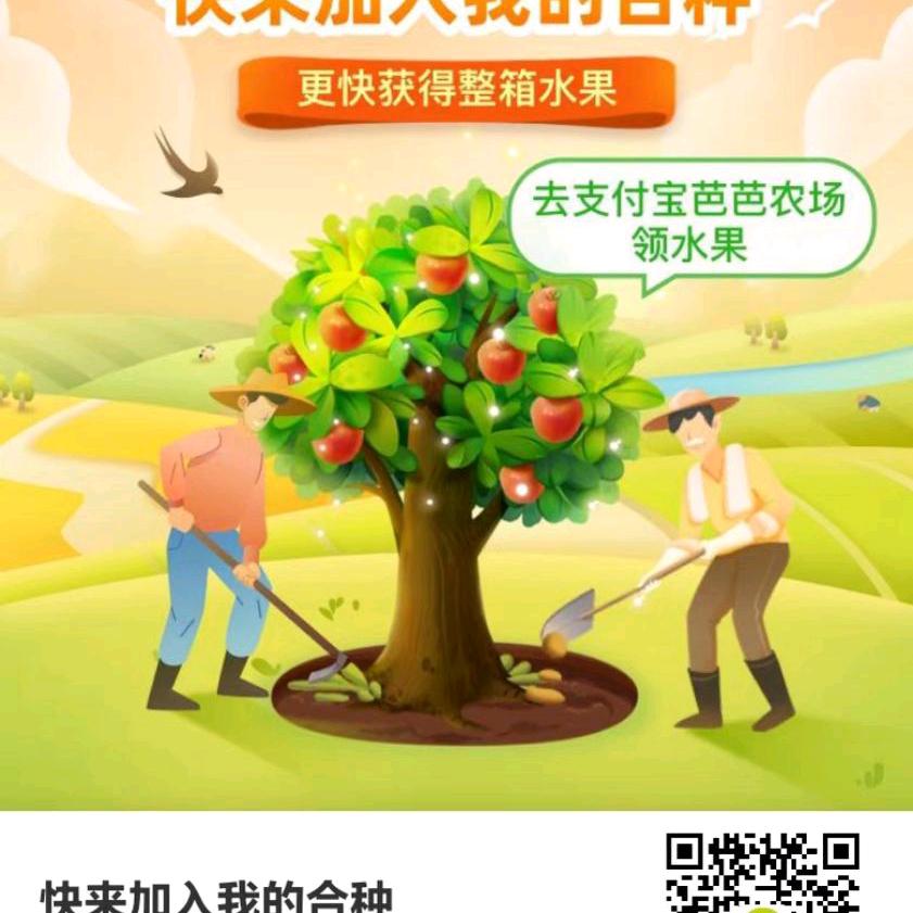 陈家老三