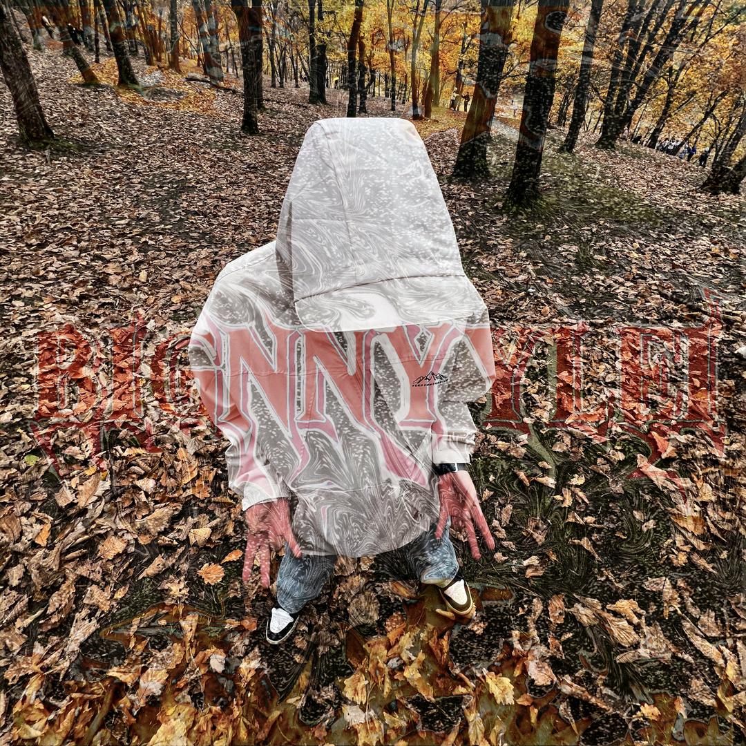 BIGNNYYLEI（做专辑中）