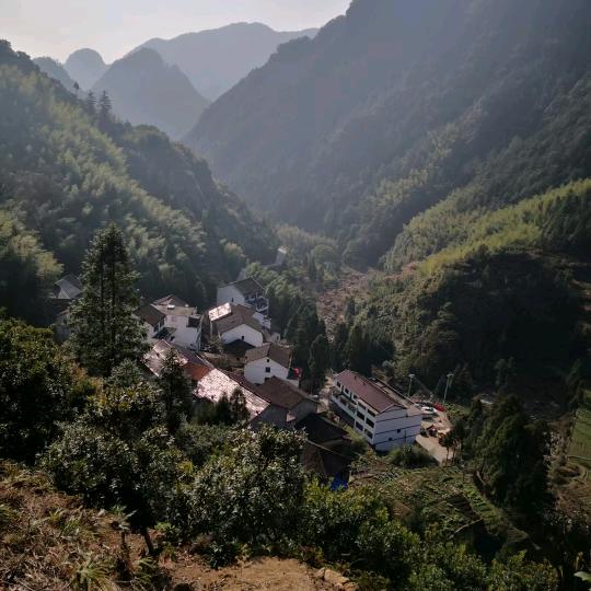 农村山头人