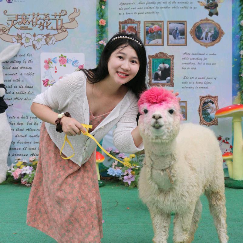 屿上花田