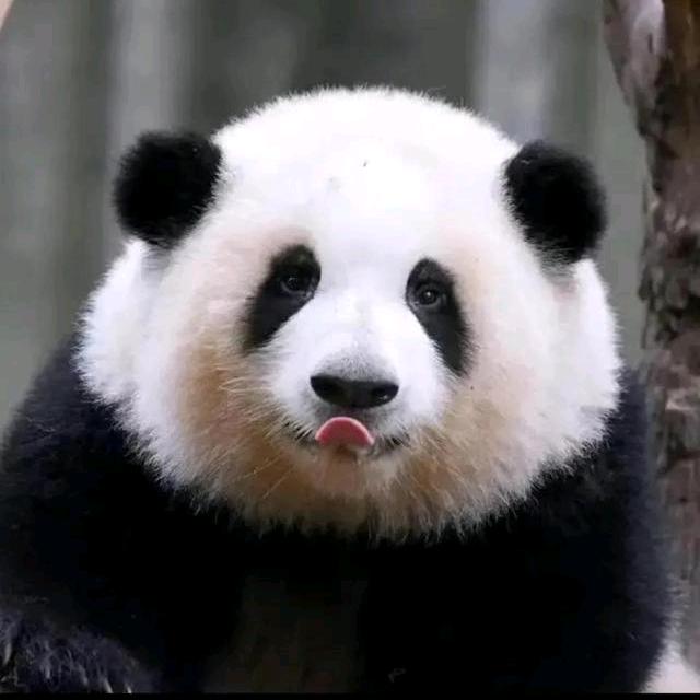 小幸运@刘