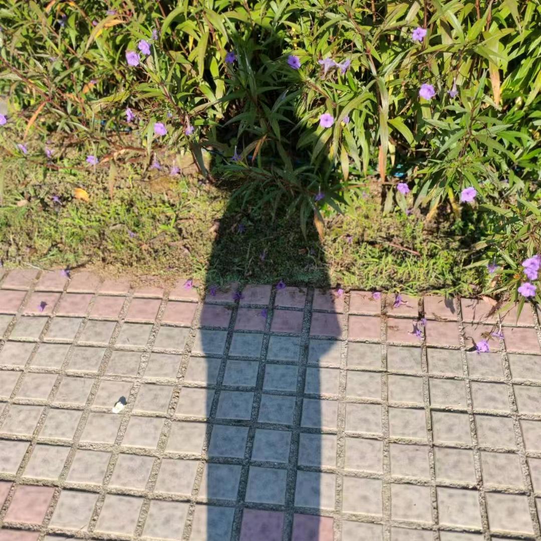 小姨子