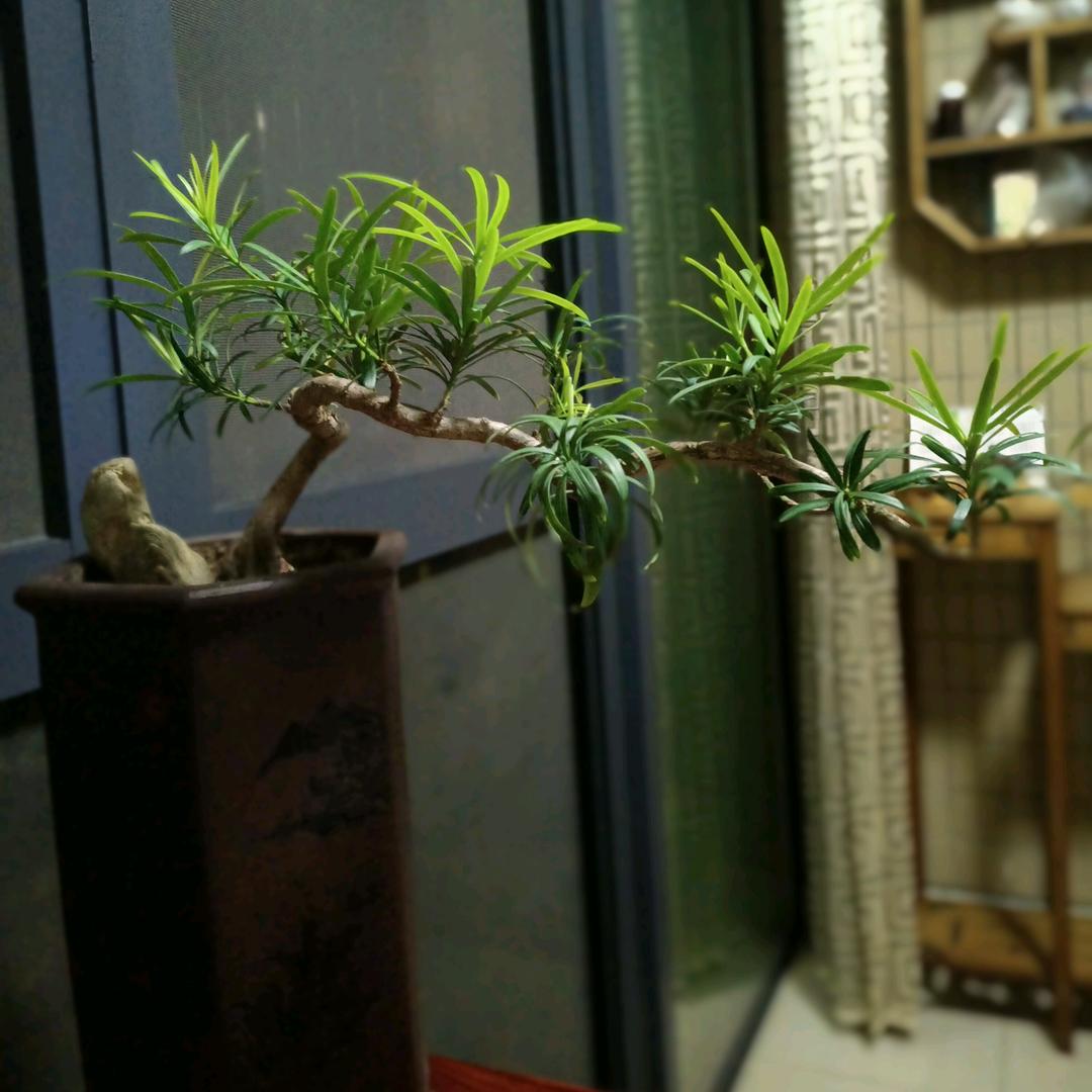 老巷深厨（五里亭店）