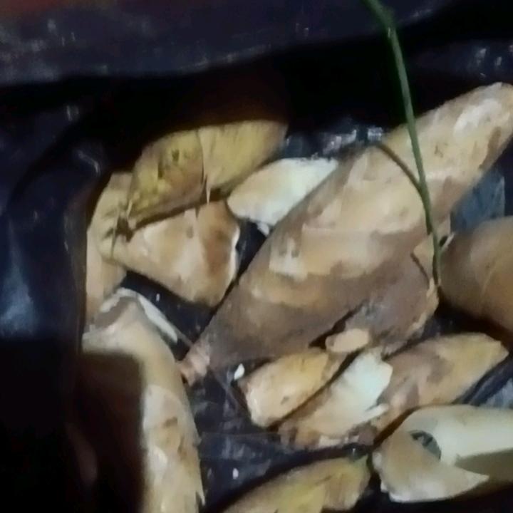悔恨当初