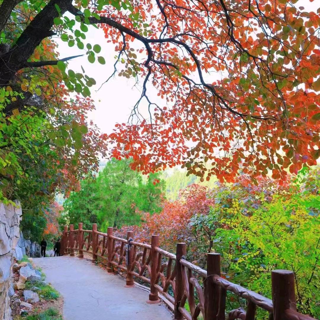 春风不度玉门关