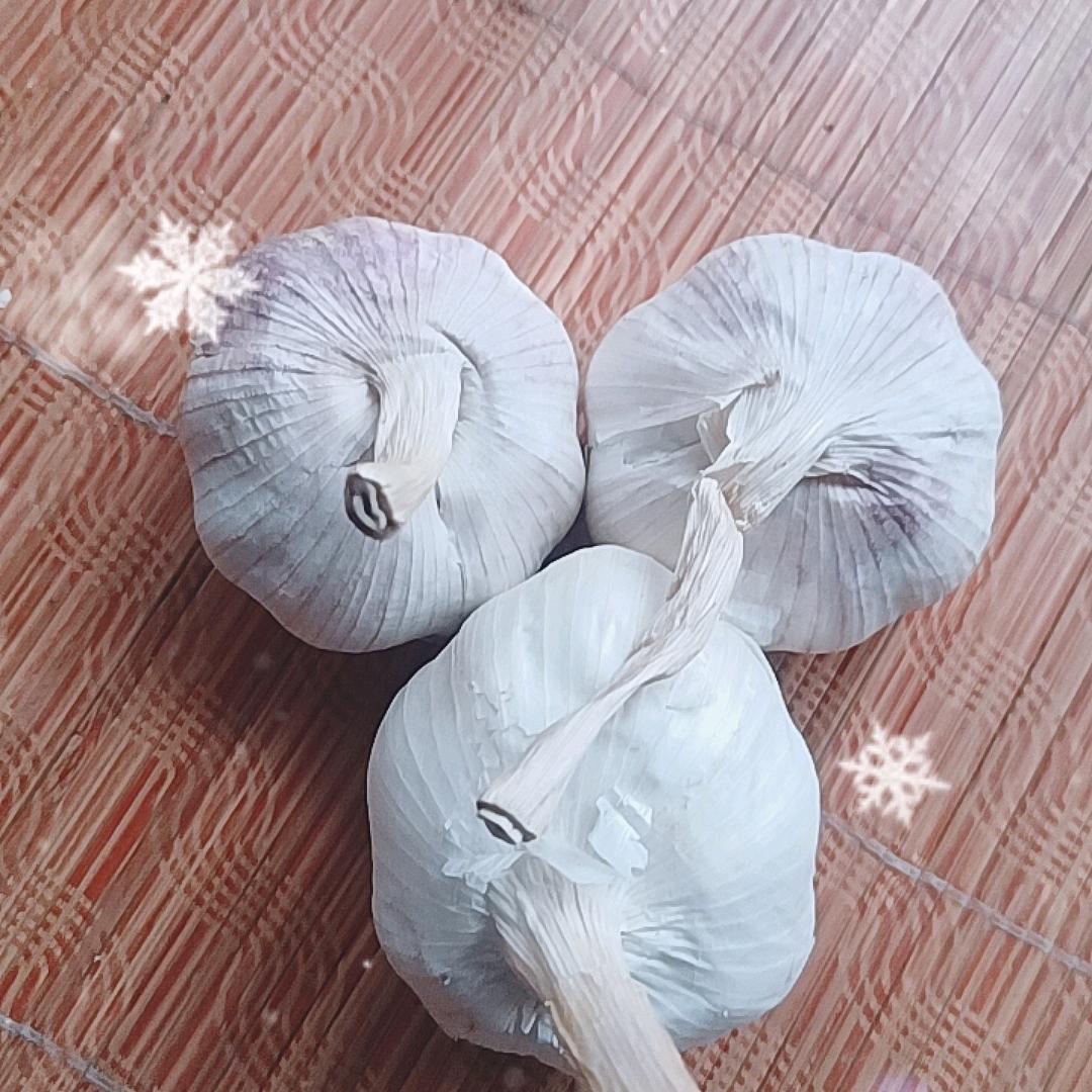 奋斗中。