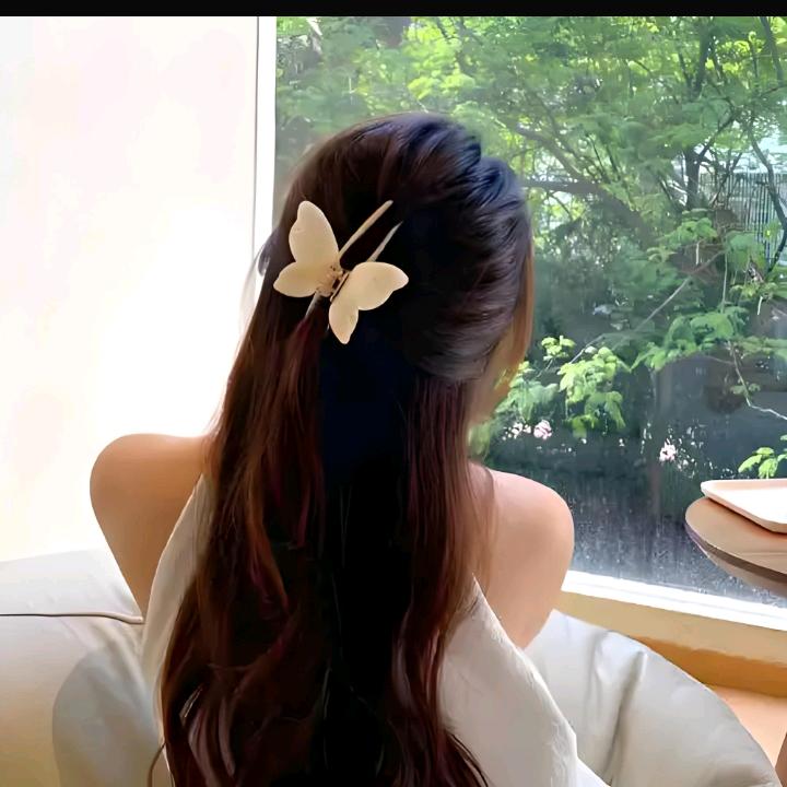风雨彩虹