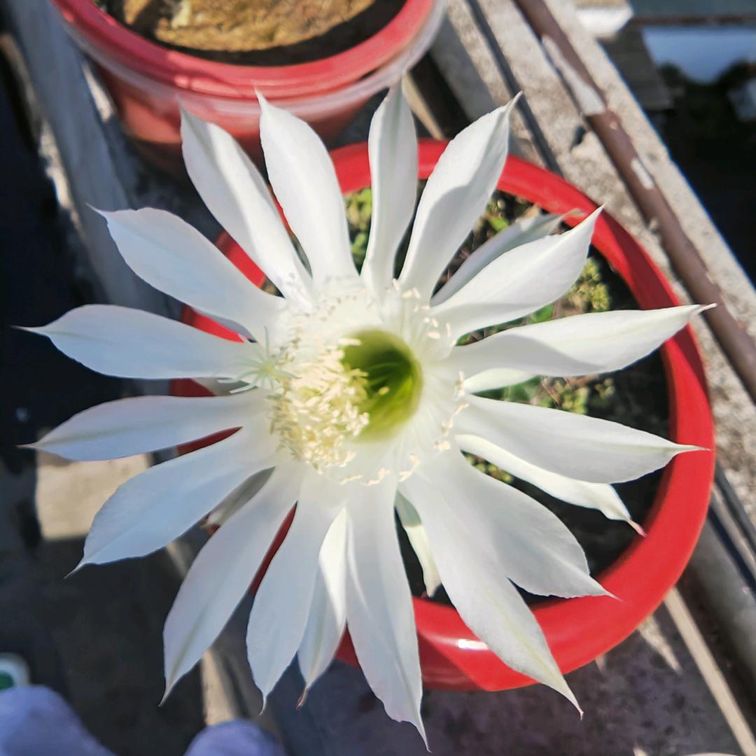 我是一位农民后