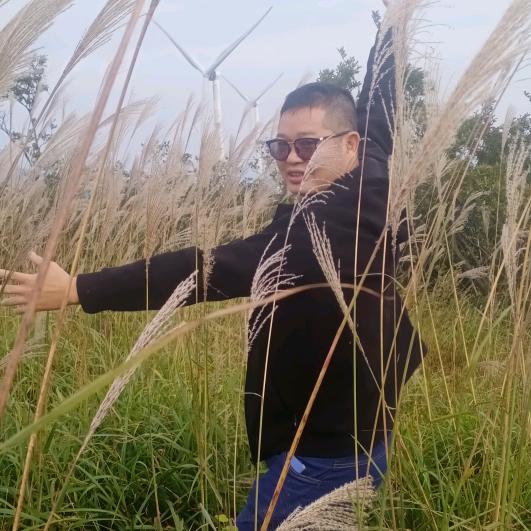 四秩村语