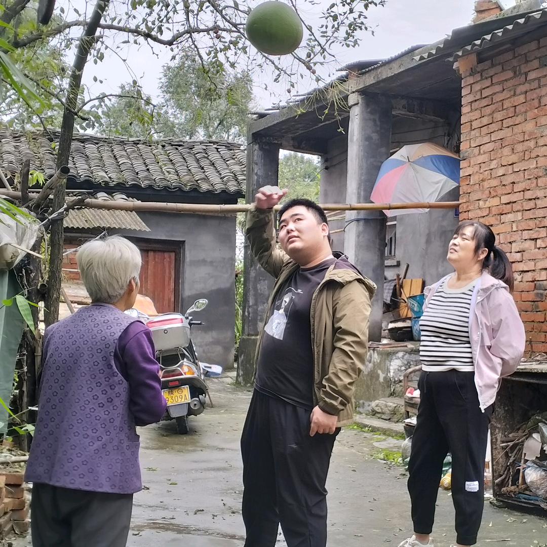 大家都好