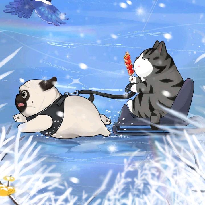 ♠️韩森曼