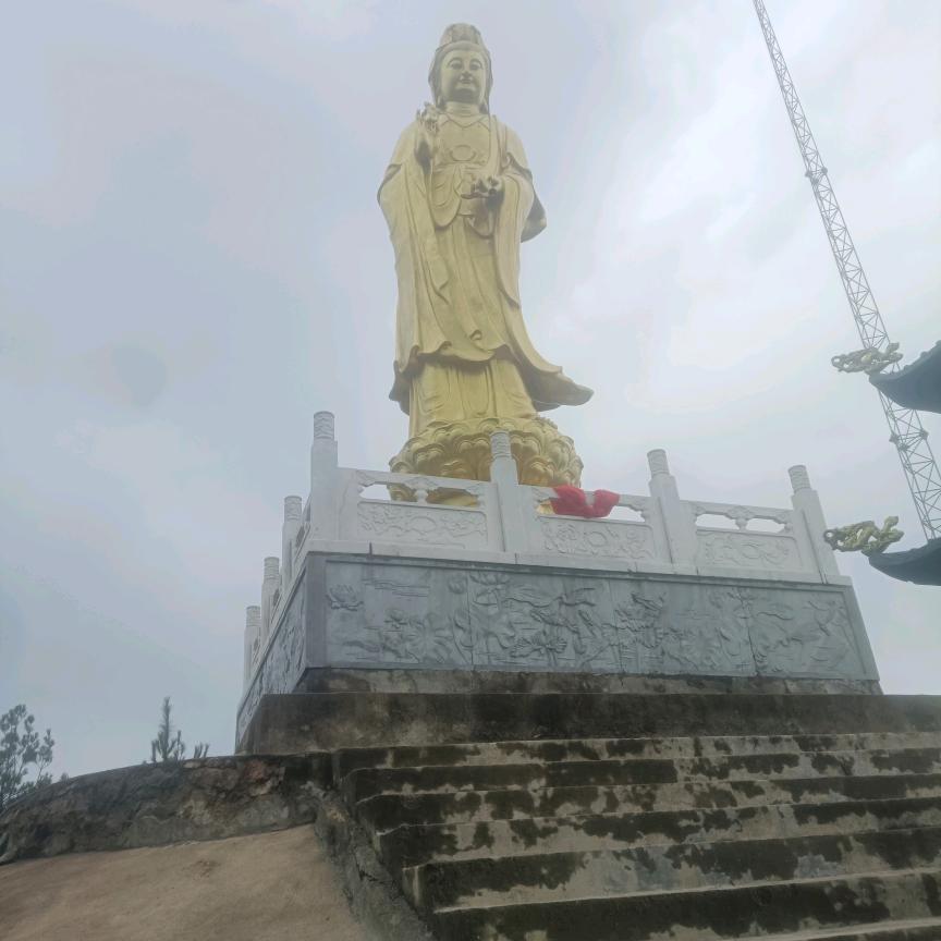 忘掉过去