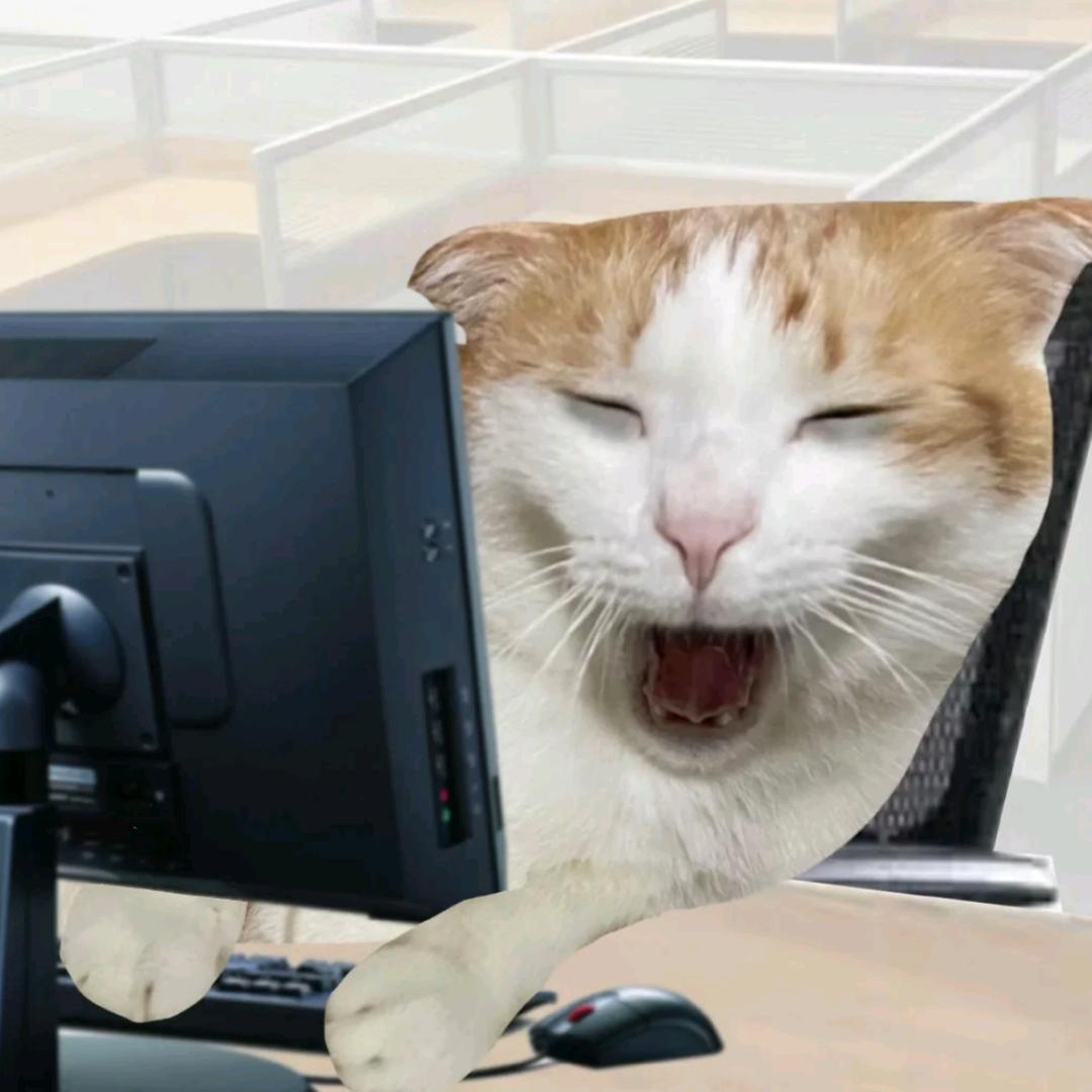 喵meme小豆包