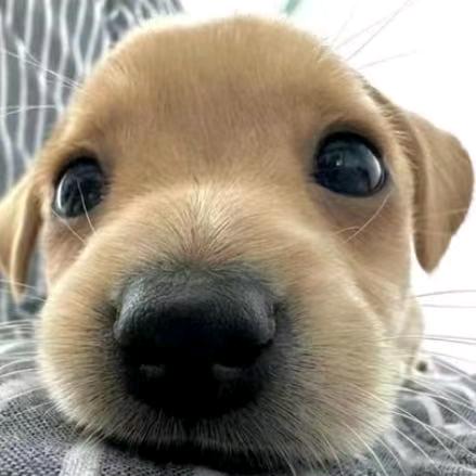 日之东，月之西。