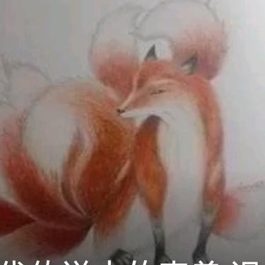 💫千年狐🦊