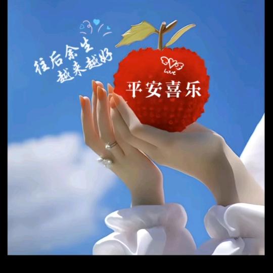 💐花晨🌹月夕🌷
