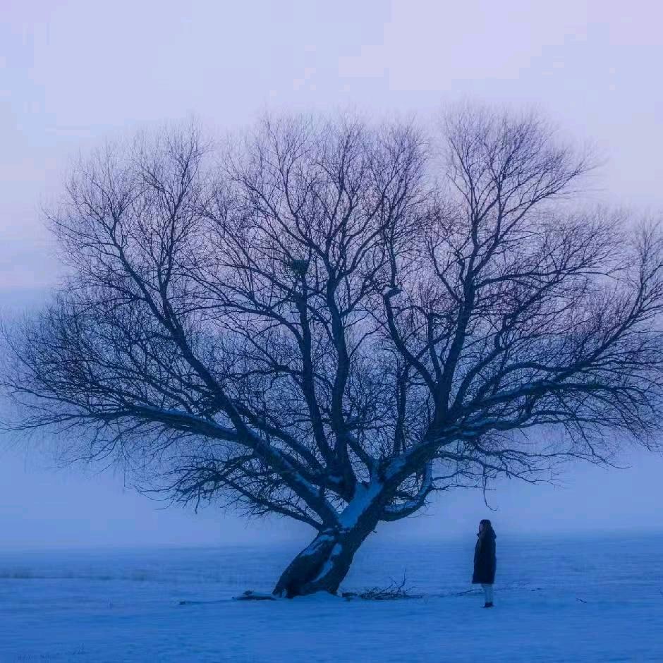 心若向阳🌻🌻无畏悲伤！