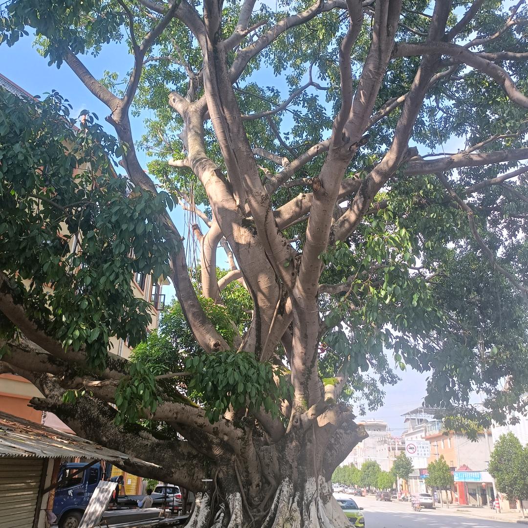 幸福家庭2